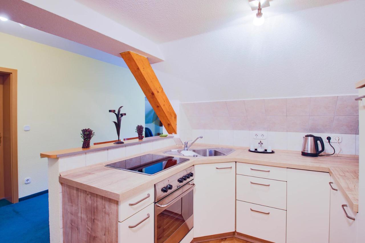 Ferien Hotel Villa Suedharz Sülzhayn Extérieur photo